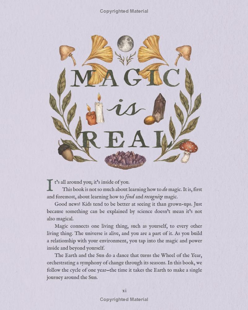 Sách ngoại văn: The Wheel Of The Year - An Illustrated Guide To Nature's Rhythms