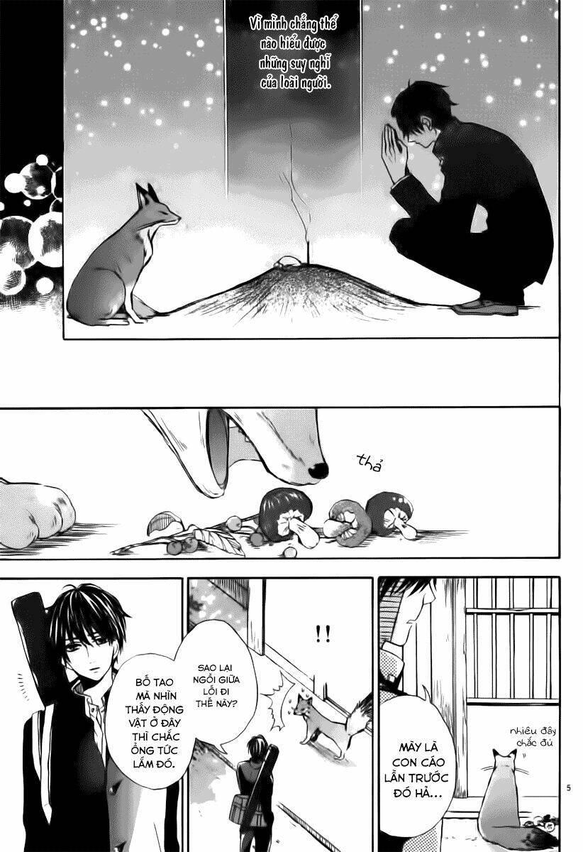 kitsune no yomeiri chapter 11 5
