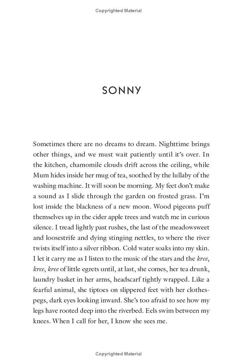 Sách ngoại văn: The House Of Broken Bricks