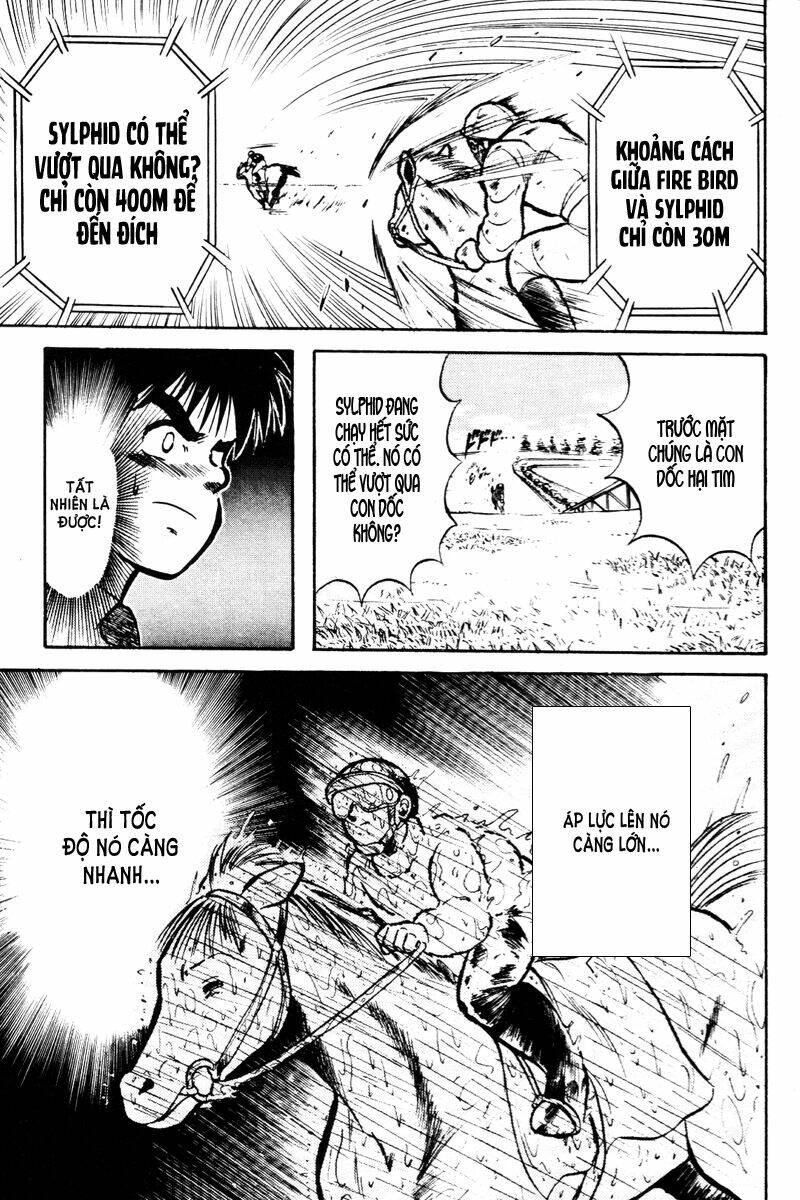 kaze no sylphid - phong mã silphid chapter 14 20