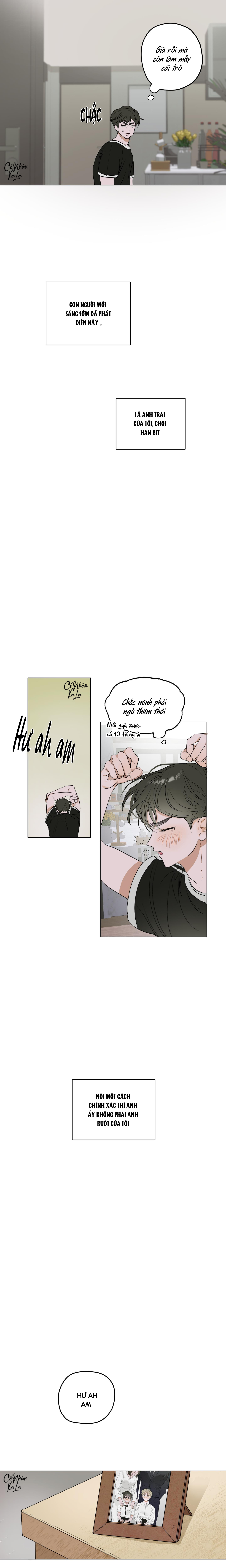 ao hoa chapter 1 4