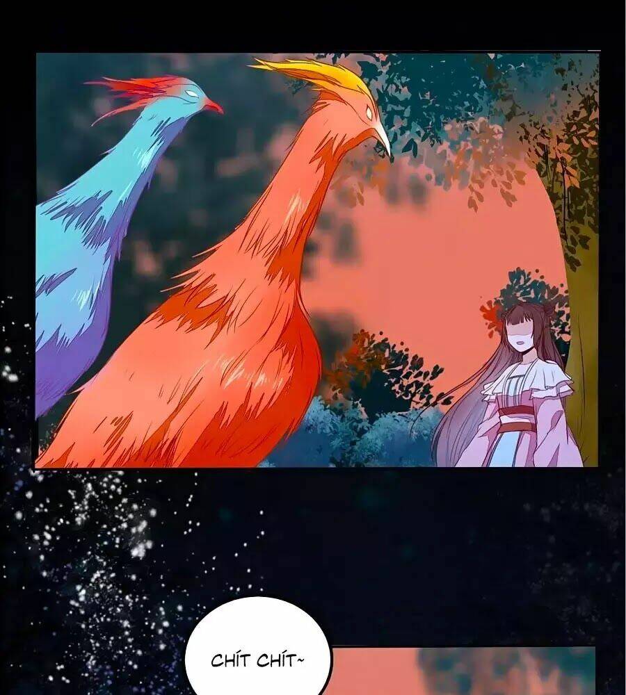 thần y khí nữ: ngự thú cuồng phi của quỷ đế chapter 70 1