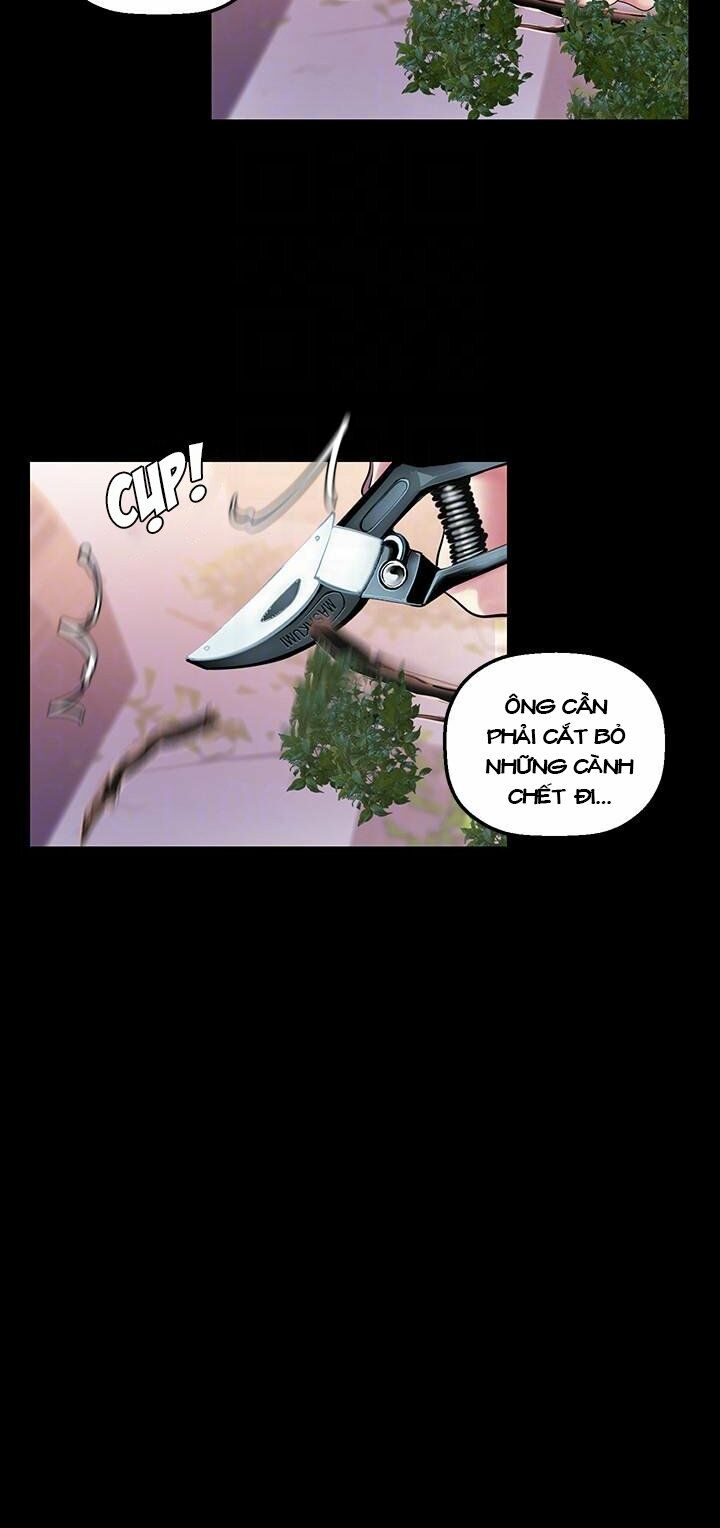 tân thế giới tuyệt vời chapter 35 21