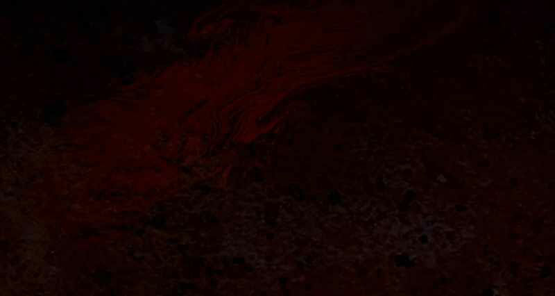 thăng hạng từ đỉnh cấp chapter 28 172