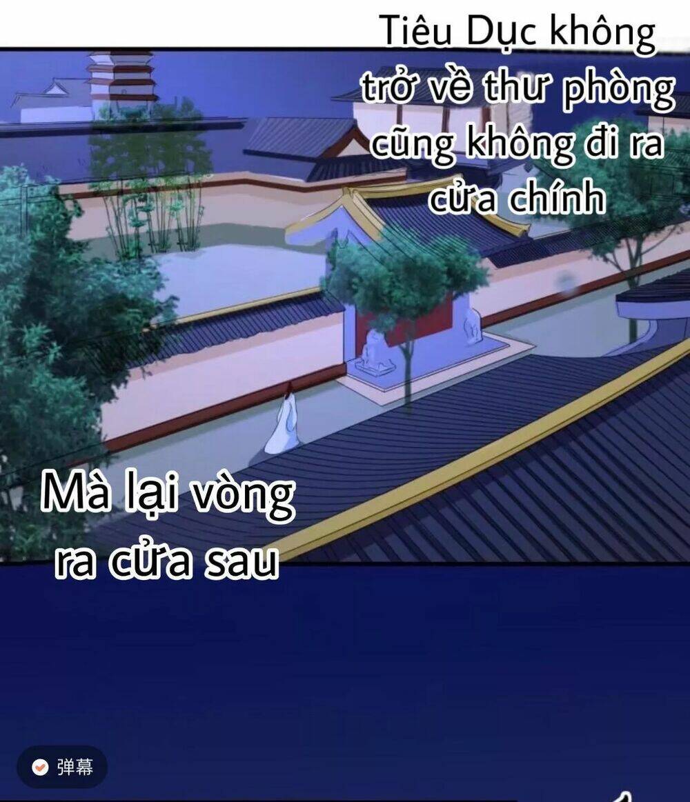 sủng phi của vương chapter 61 31