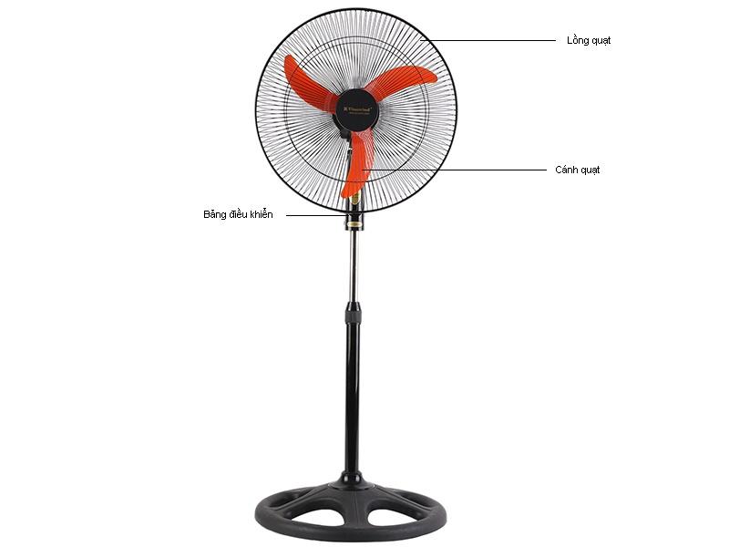 Quạt Cây Điện Cơ Qd450 - Dm - Hàng Chính Hãng Chỉ Giao Hn Và Một Số Khu Vực