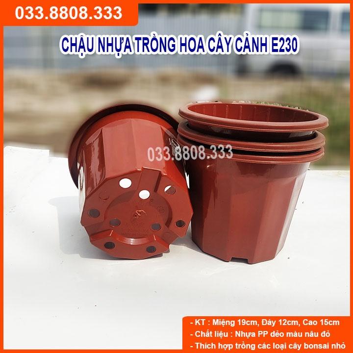 5 Chậu Nhựa Nâu Trồng Cây E230 - Chậu Bền Đẹp