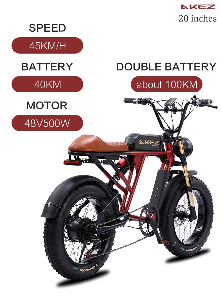 Bike điện 20 inch điện Color: Black dual battery