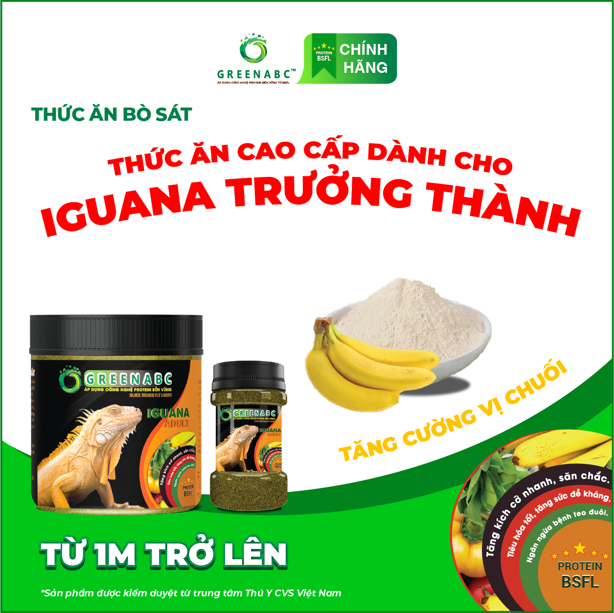 IGUANA TRƯỞNG THÀNH TĂNG CƯỜNG VỊ CHUỐI - Thức ăn BÒ SÁT cho Rồng Nam Mỹ trưởng thành TĂNG CƯỜNG VỊ CHUỐI từ 1m trở lên TĂNG SIZE, TĂNG MÀU, GAI BUNG, DÁNG ĐẸP, KHỎE MẠNH, ĐẶC BIỆT SỬ DỤNG TỐT TRONG THỜI KÌ SINH SẢN