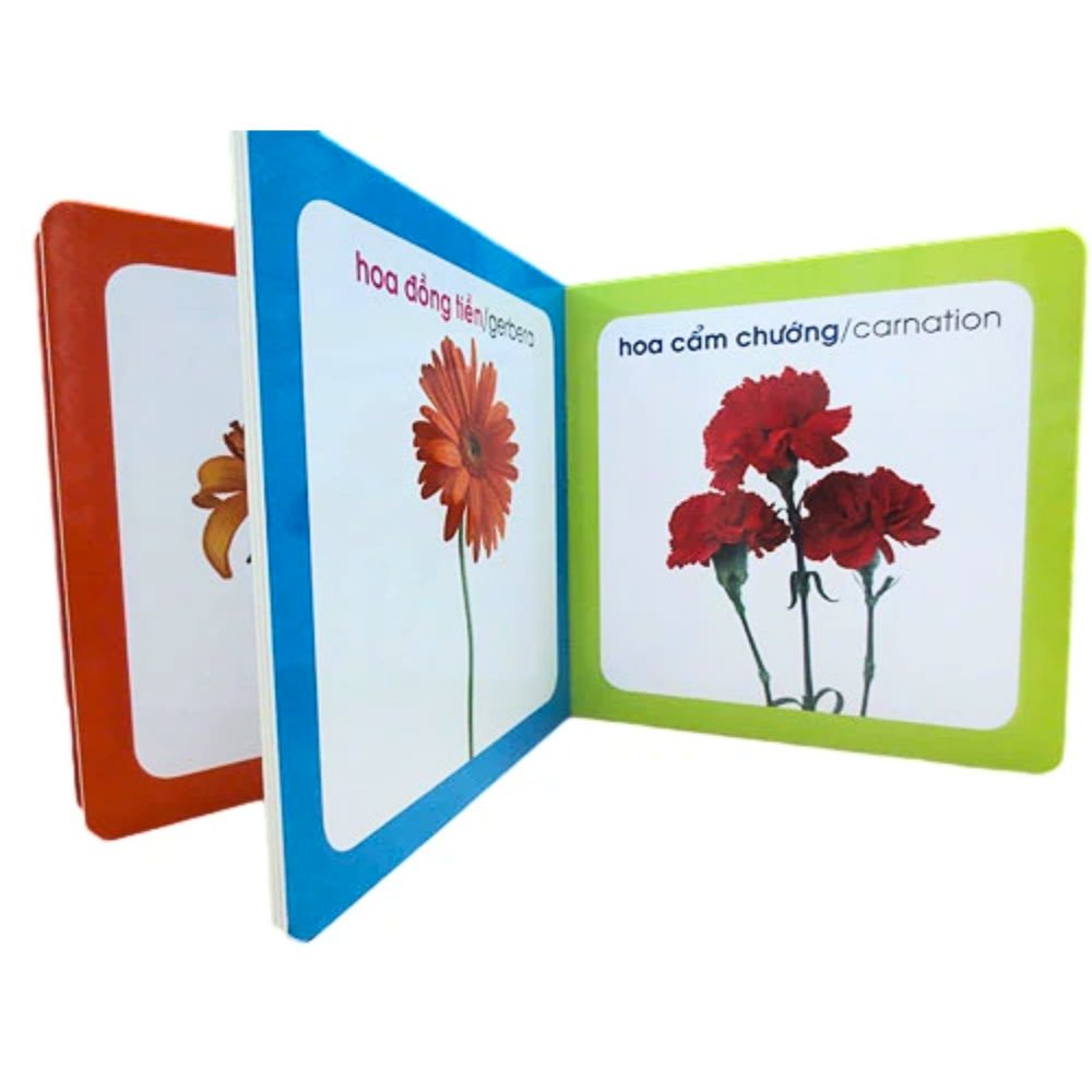 Từ Điển Hình Ảnh Cho Bé: Hoa (Tái Bản 2019)