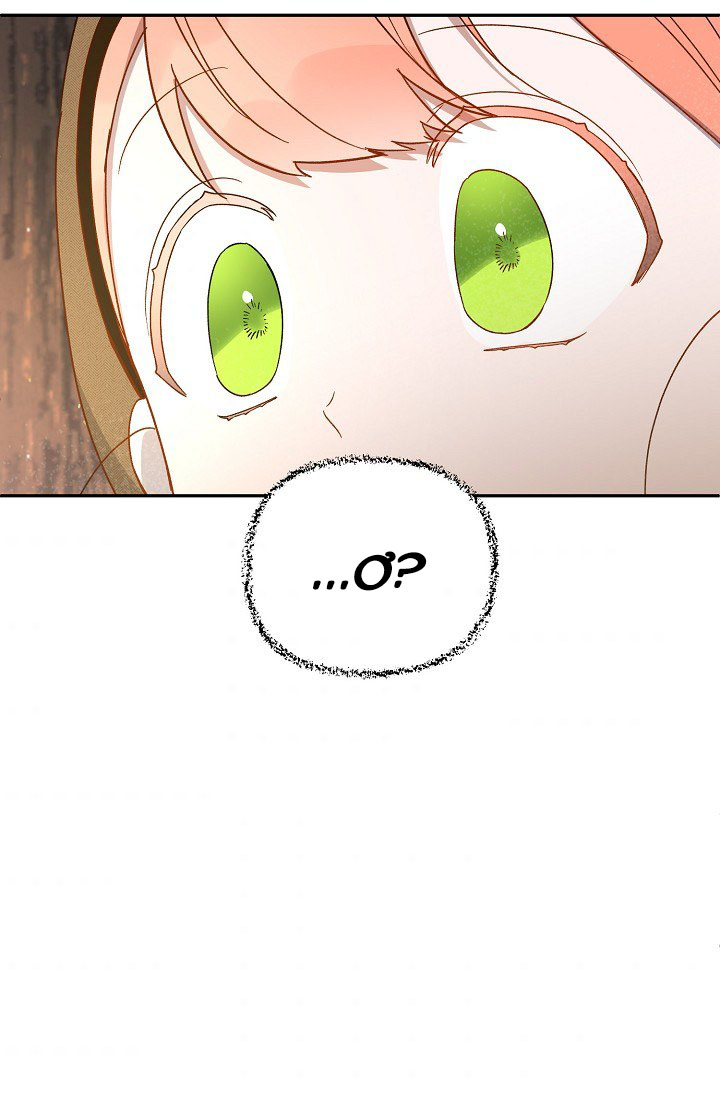 trở thành con gái của anh hùng bóng đêm chapter 32.1 3