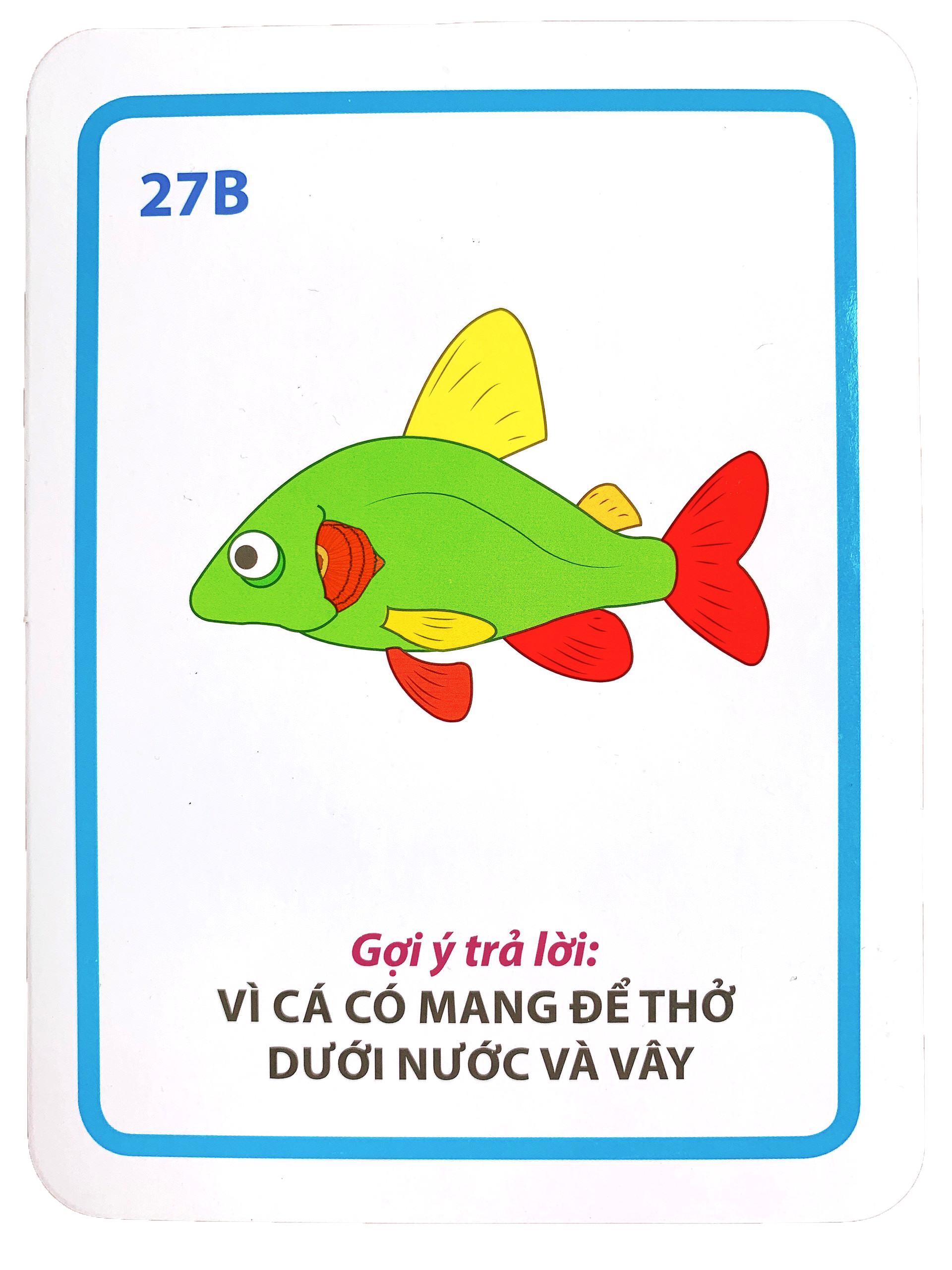 Bộ Thẻ Học Flashcard Dạy Trẻ Giao Tiếp Và Trả Lời Những Câu Hỏi Bé Hay Hỏi Nhất Benrikids(Trọn Bộ 5 Cuốn)