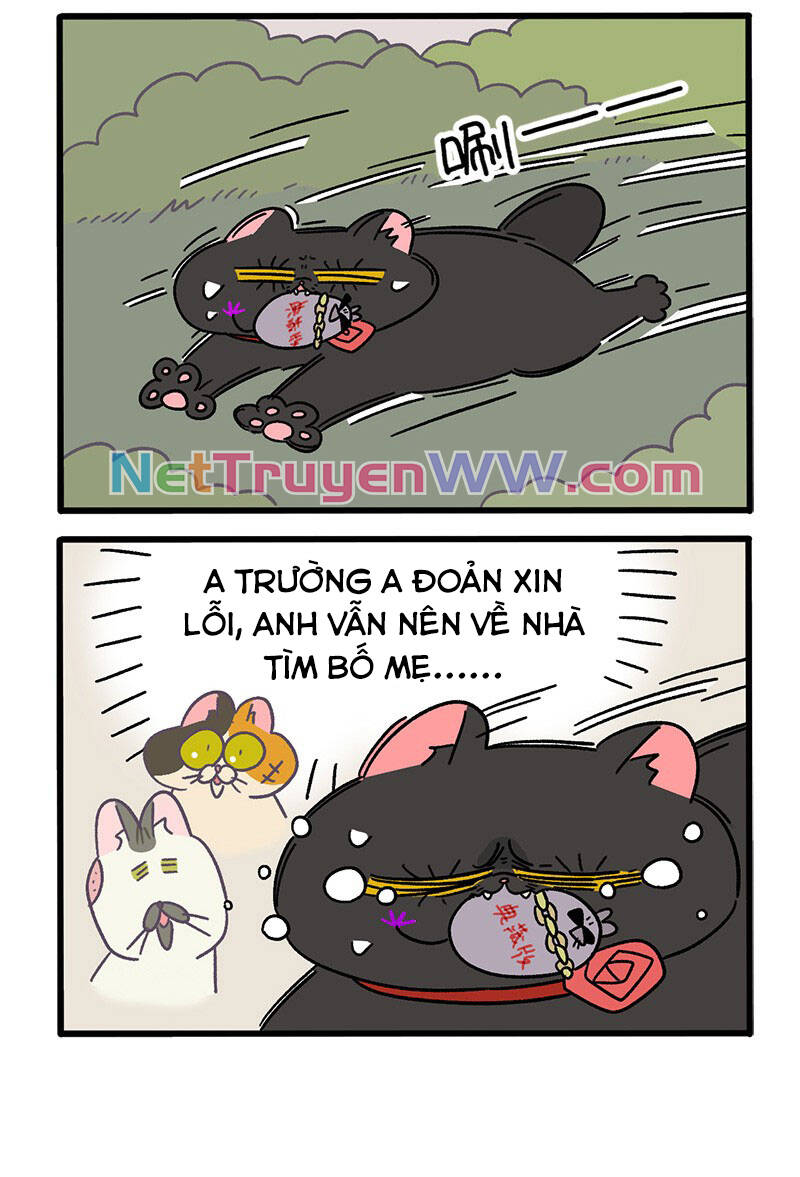 a mãn và mạch trà chapter 40 4