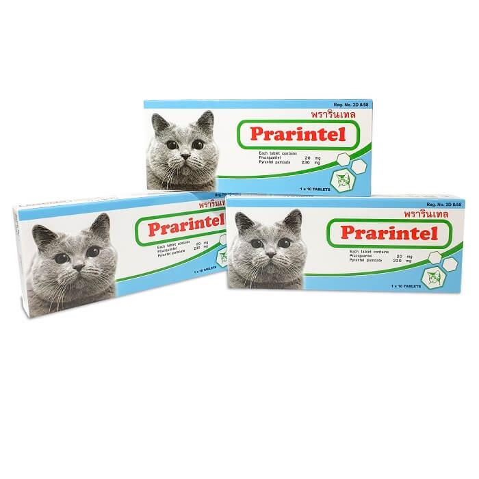 Viên nhai uống Prarintel cho mèo