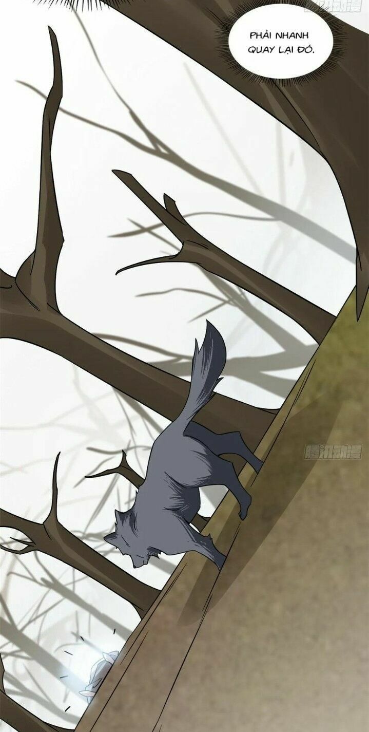 độc bộ thiên hạ: đặc công thần y chapter 203 12