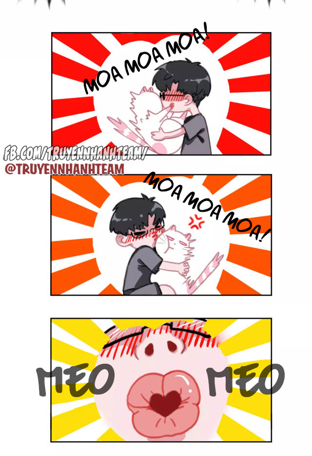 xã hội mèo chapter 1 39
