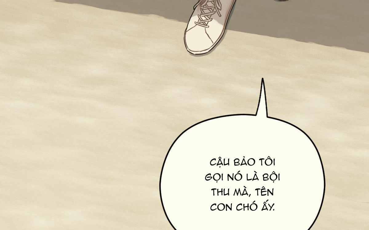 tương phùng chapter 15 306