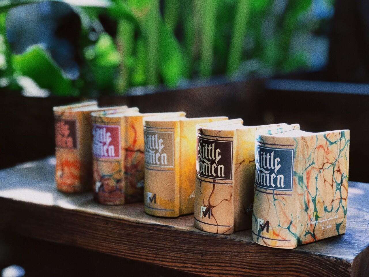 NHỮNG NGƯỜI PHỤ NỮ BÉ NHỎ - ẤN BẢN BẢN ĐẶC BIỆT GIỚI HẠN_VI QUYỂN