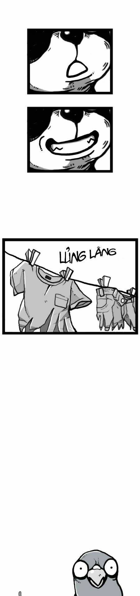 earth, human, and animal chapter 21 14