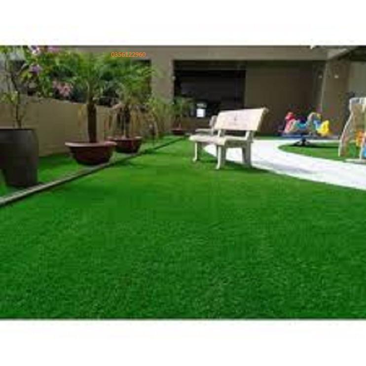 200g Hạt giống cỏ thảm - cỏ nhung nhật cỏ dùng trong chăn nuôi, công trình....