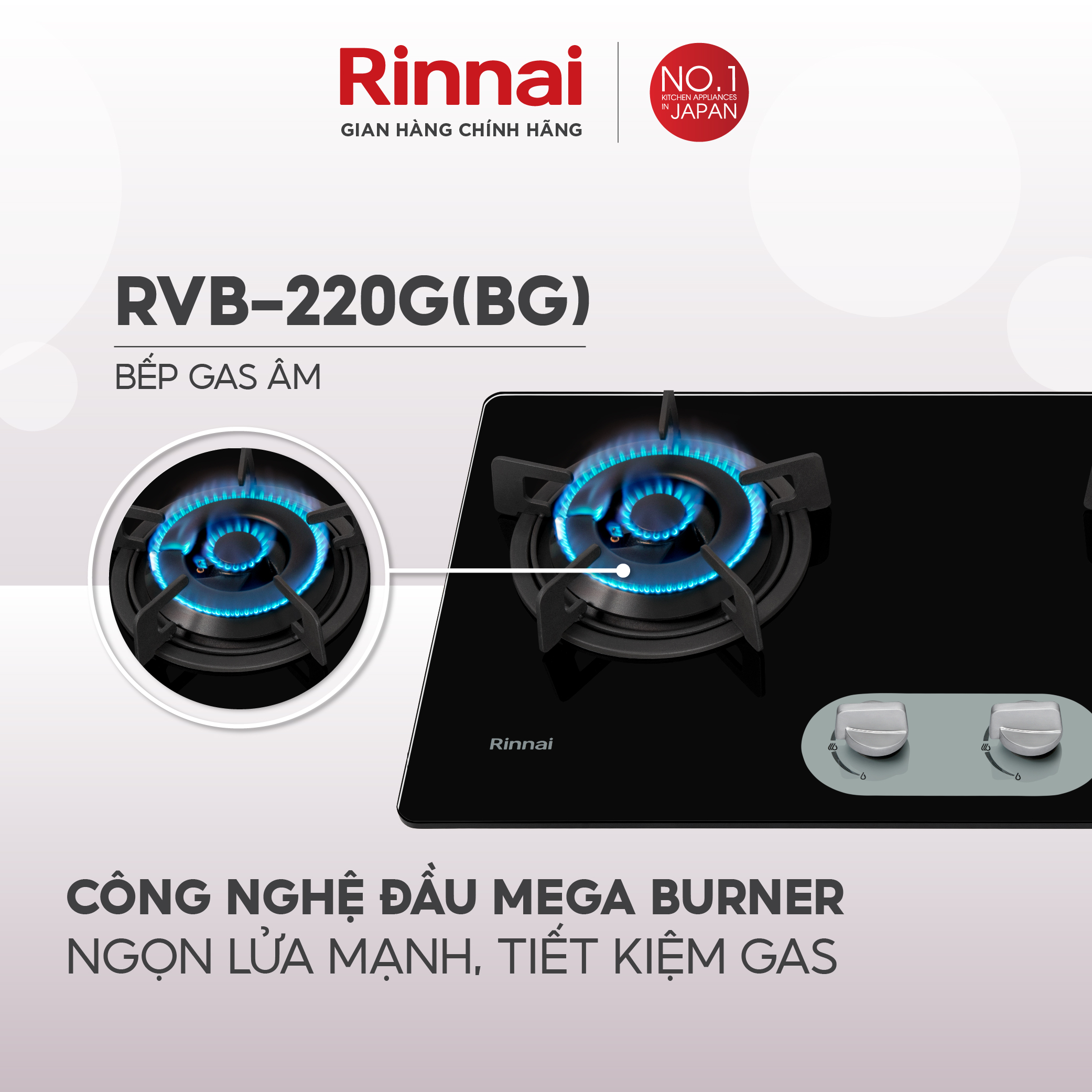 Bếp gas âm Rinnai RVB-220G mặt bếp kính kiềng bếp gang - Hàng chính hãng.