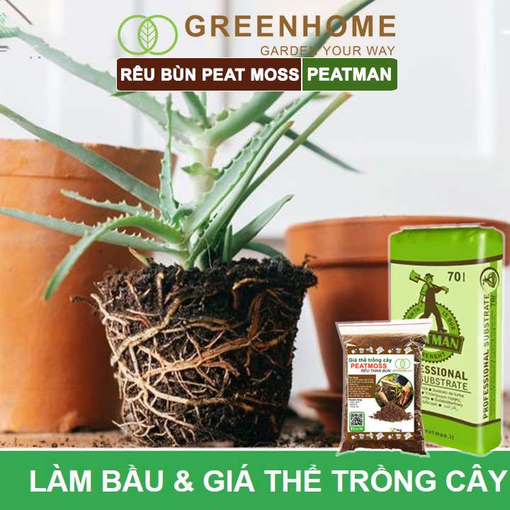 Rêu than bùn peatmoss Peatman, bao 1kg, trộn đất trồng sen đá, kiểng lá, hoa hồng, ươm mầm|Greenhome