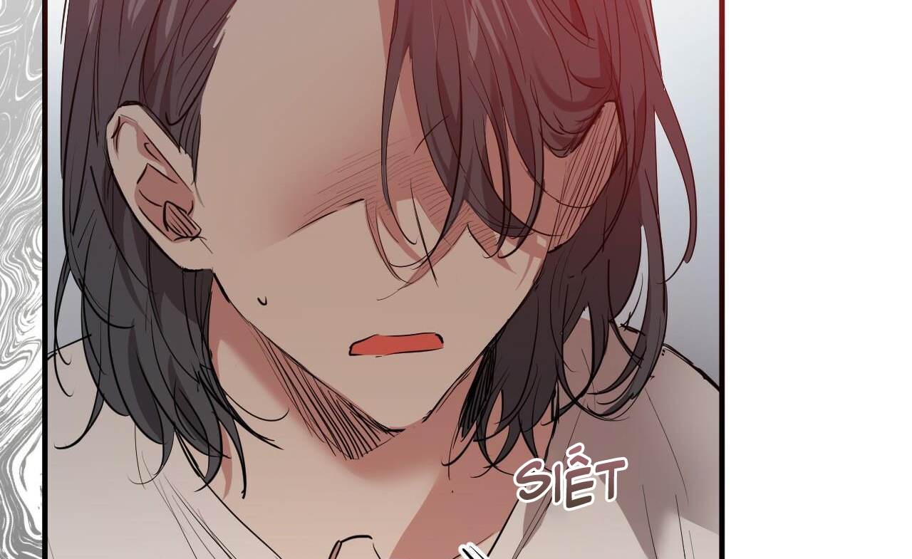 đàn thỏ của habibi chapter 36 24