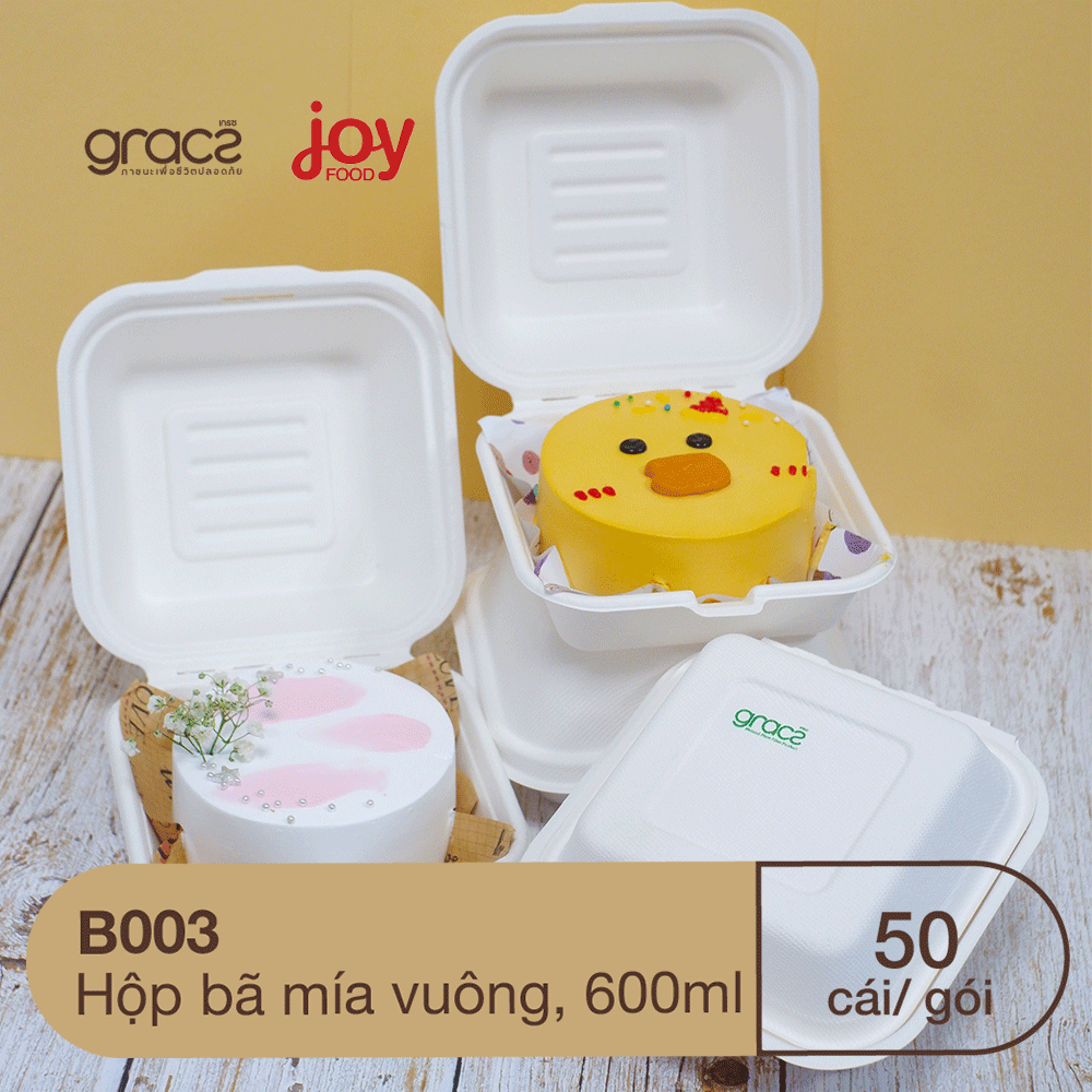 50 hộp bã mía Gracz hình vuông 17.5x17.5x50 cm