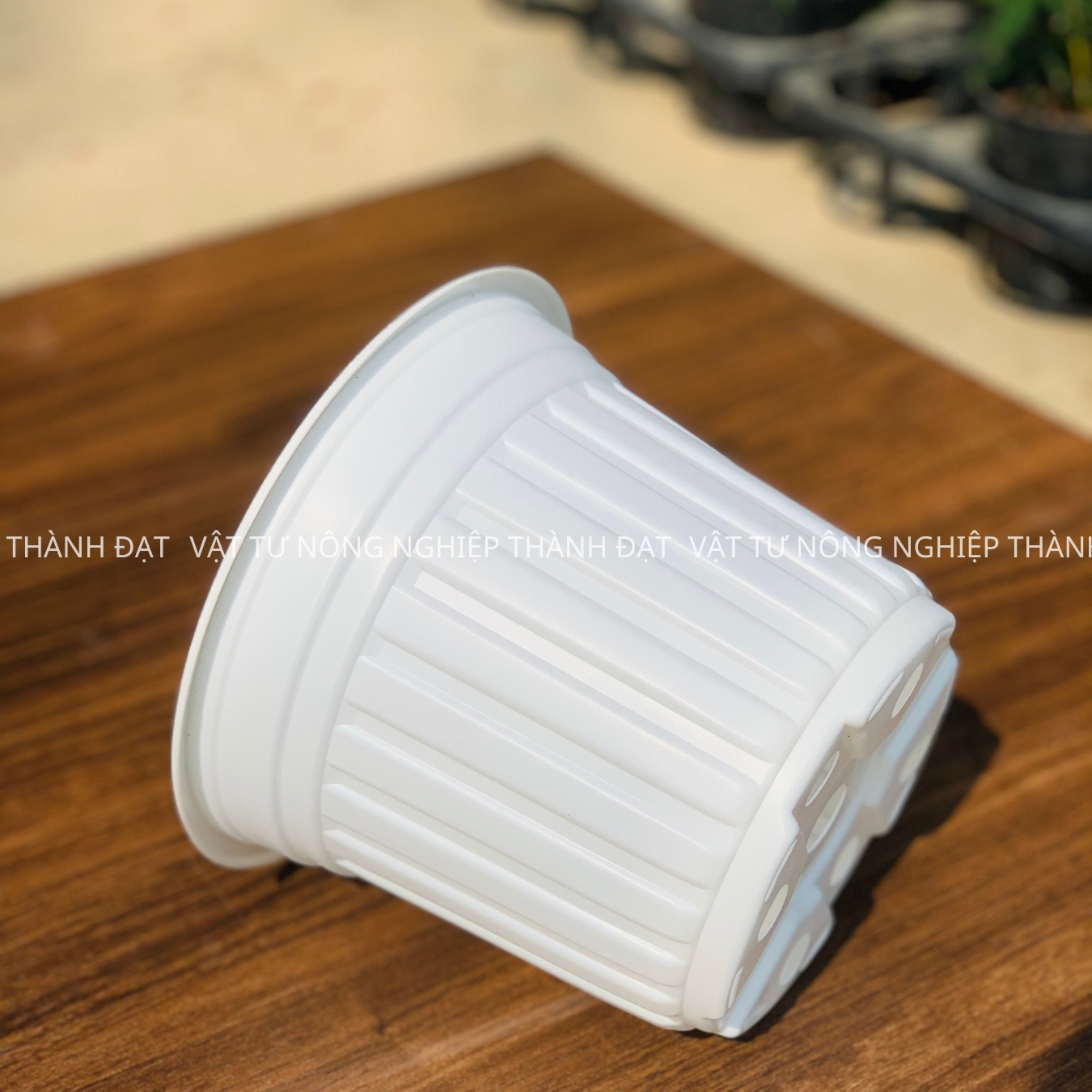 05 Chậu nhựa trắng TTK 18 trồng cây, trồng hoa cao cấp