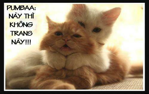 boku to kanojo no xxx chapter 43 1