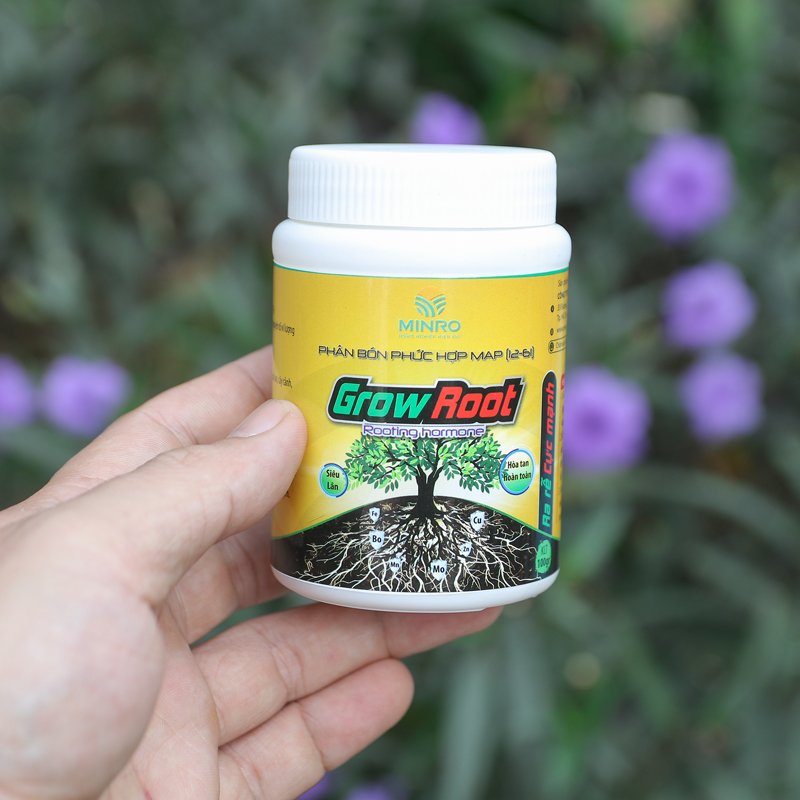 Thuốc kích rễ cho cây trồng – Phân bón kích rễ Minro