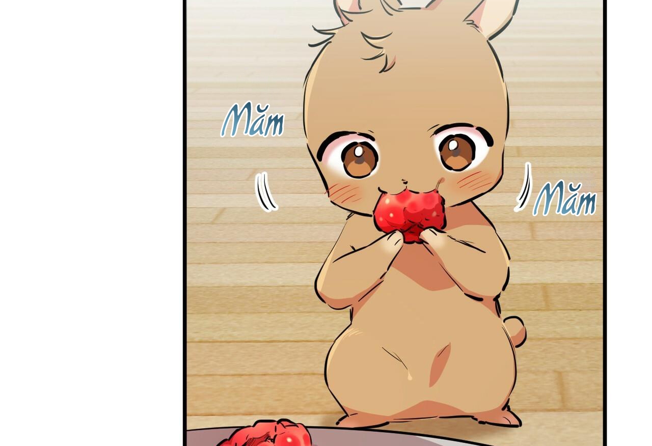 đàn thỏ của habibi chapter 28 151