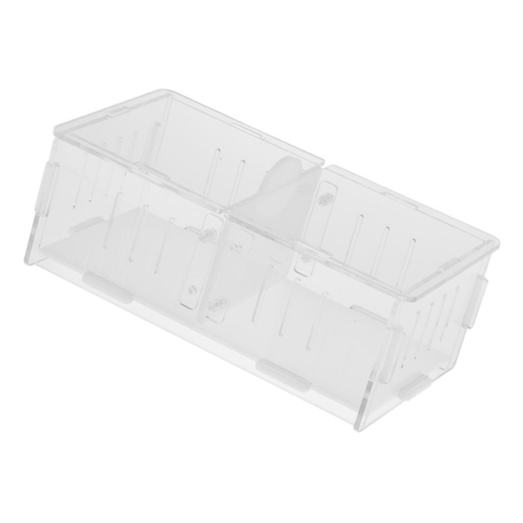 1x Reptile Cage Food Feeding Container For Spider Frog Cricket Turtle