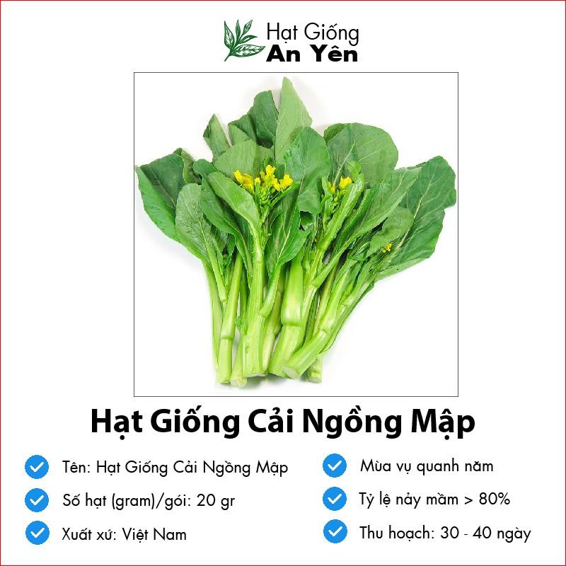 Hạt giống Cải Ngồng Mập, nhanh thu hoạch, dễ trồng, nảy mầm và năng suất cao