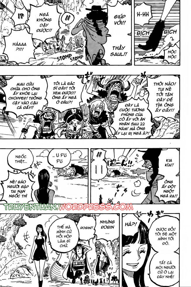 đảo hải tặc - one piece chapter 1133 9