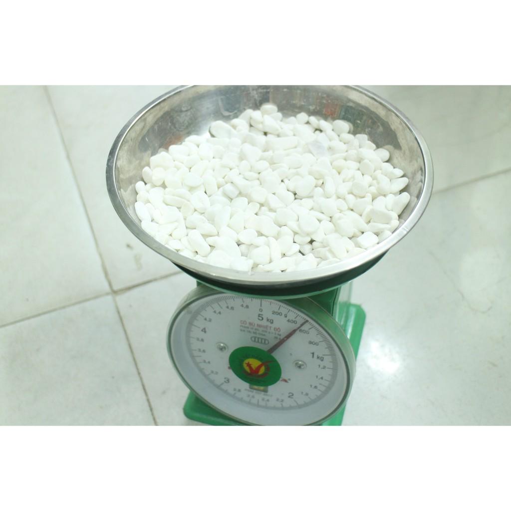 Sỏi trắng trang trí tiểu cảnh-gói 500g