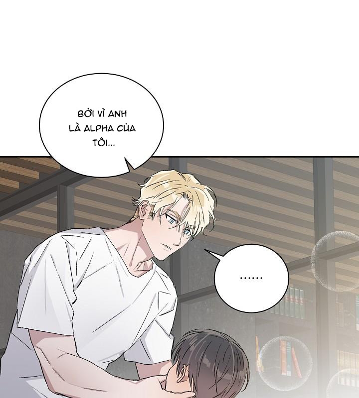 chàng tuấn mã của tôi chapter 22 81