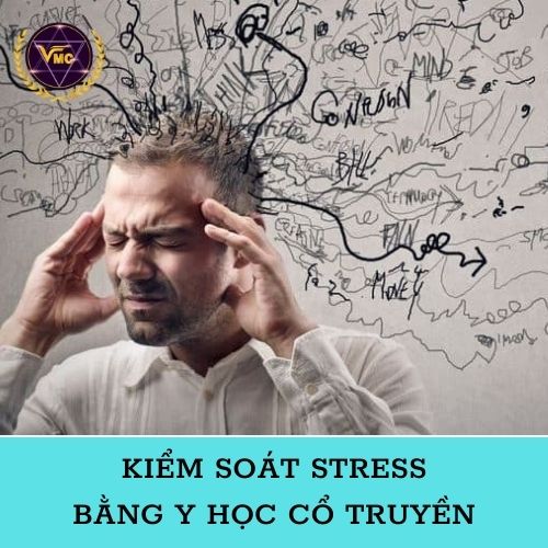 Khóa Học Video Kiểm Soát STRESS Bằng Y Học Cổ Truyền - Trung Tâm Chăm Sóc Sức Khỏe VMC