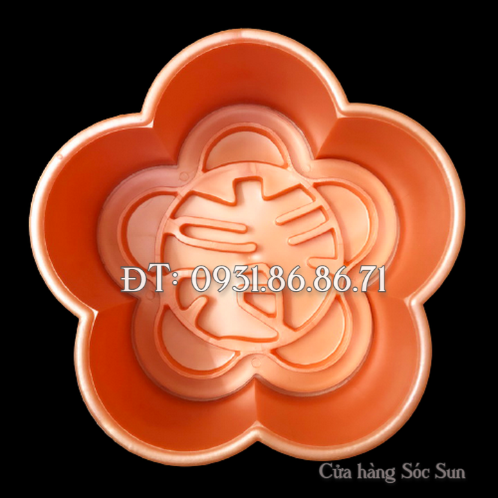 Khuôn ép xôi hoa mai 5 cánh chữ Thọ loại 16 cm - Mã số 1567