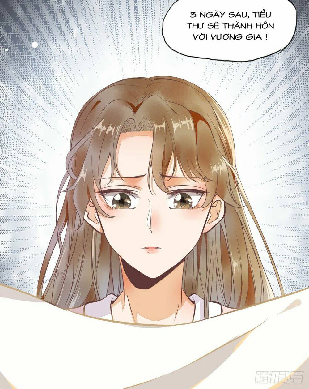 sát thủ vương phi không dễ chọc chapter 3 17