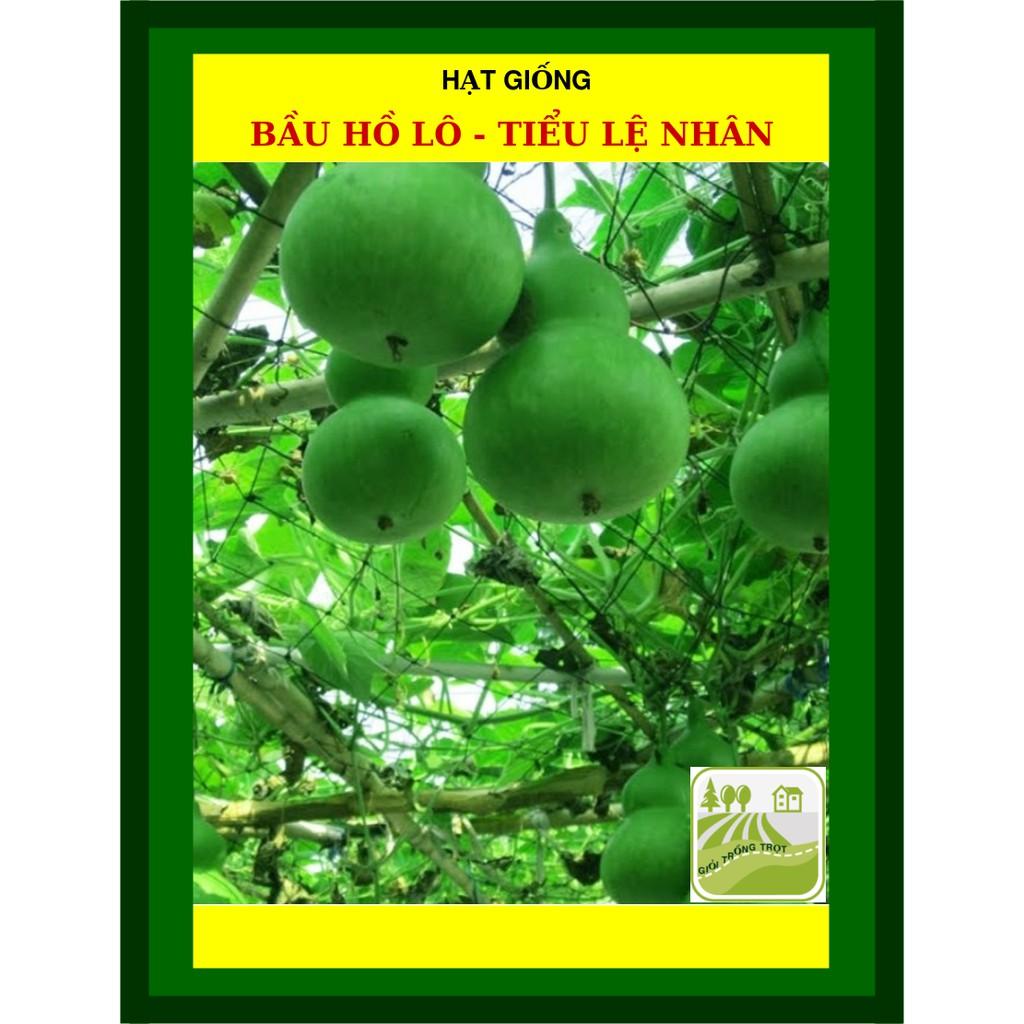 Hạt Giống Bầu Hồ Lô 10 hạt