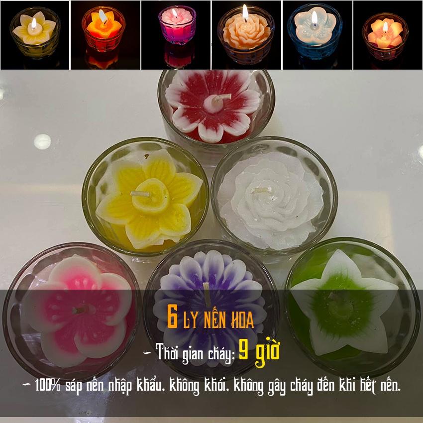 Hộp nến 6 ly nhiều màu (9 giờ) - nến ly hoa hồng hoa cúc - cốc nến trang trí cao cấp candle shop