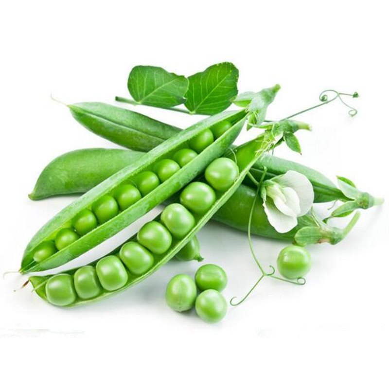 Hạt giống Đậu Hà Lan Lấy hạt.Rất Nhiều Dinh Dưỡng Và Vitamin, Có Thể Chế Biến Thành Rất Nhiều Món Ăn - Nông Sản Vàng