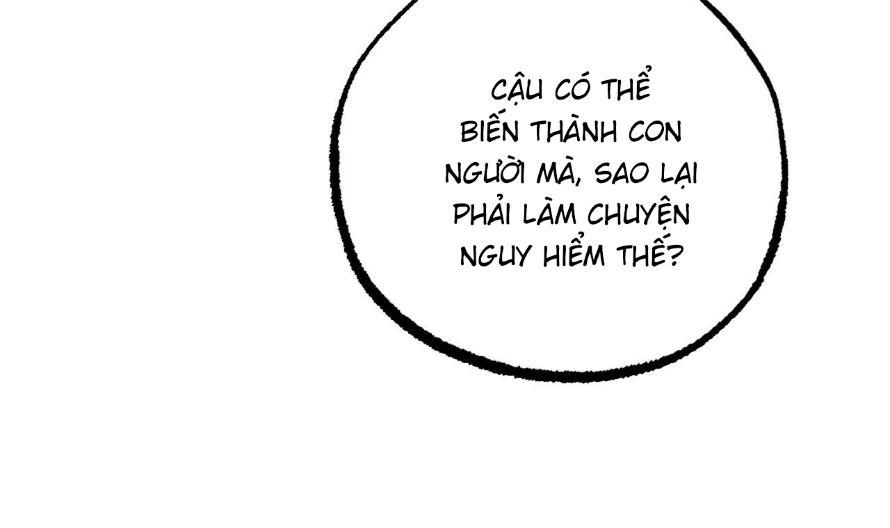 những chú thỏ của hapypy chapter 51 57
