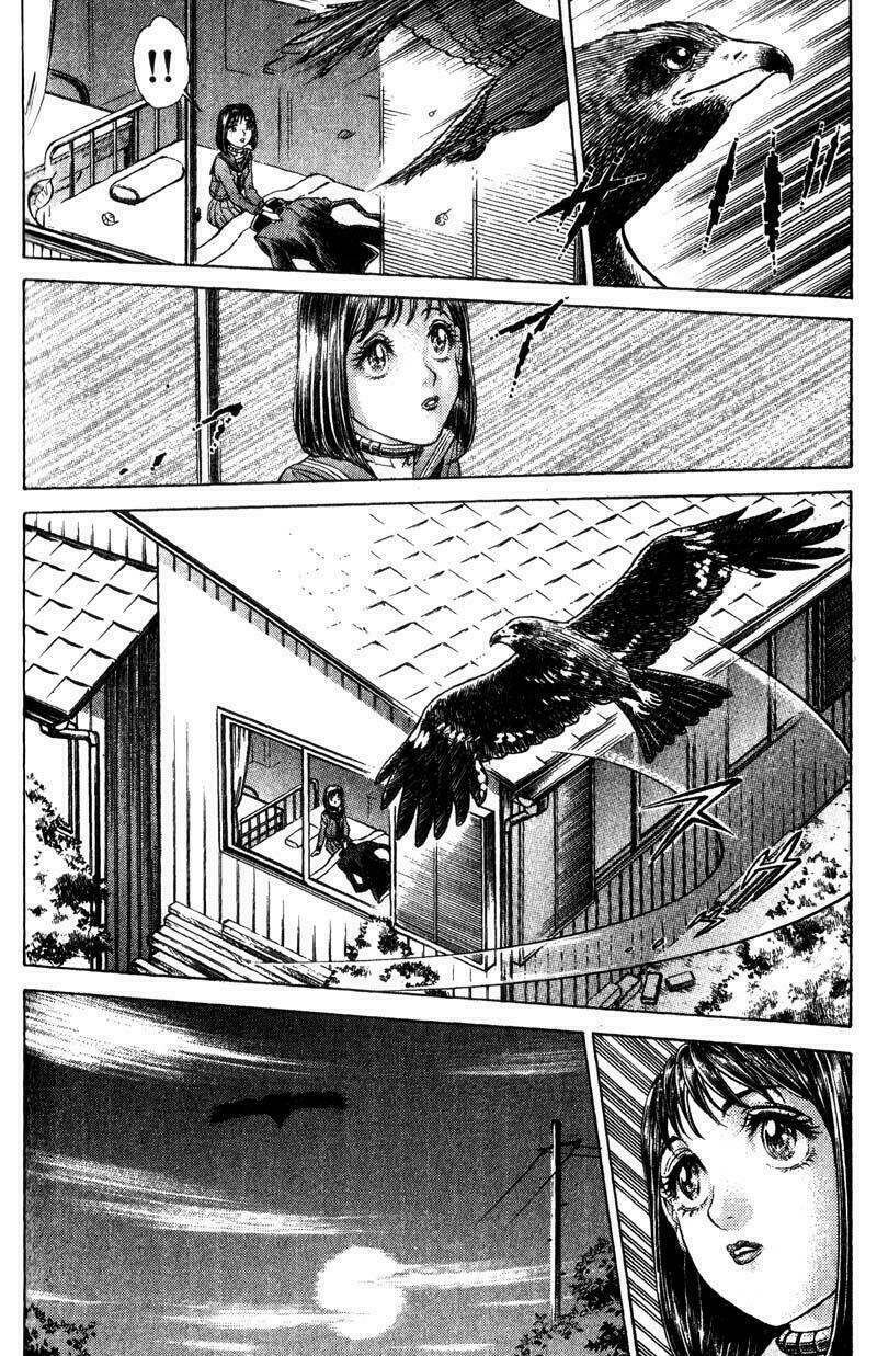 sống còn - trò chơi sinh tử chapter 31 20