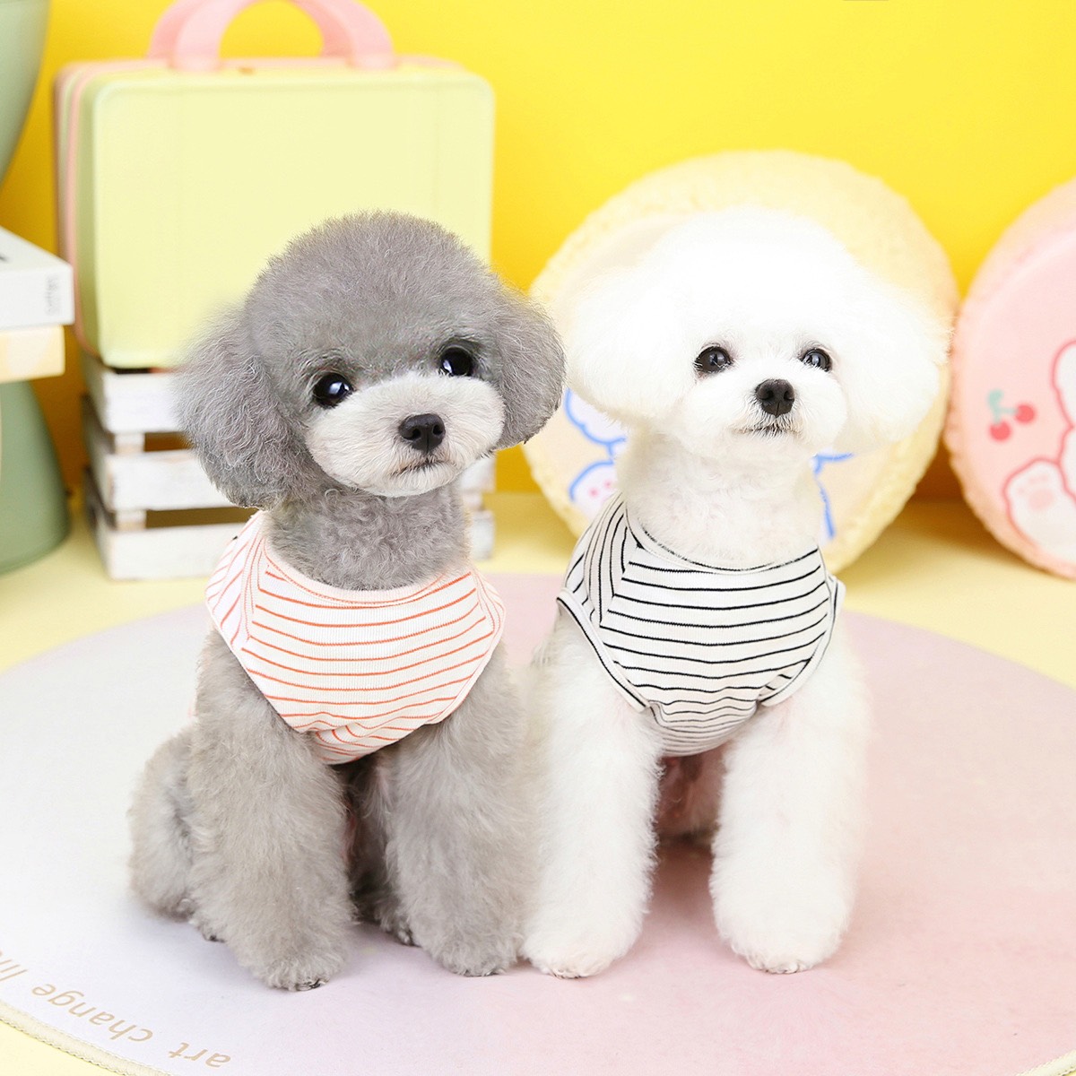 Áo phông kẻ ngang gấu winner cho chó mèo