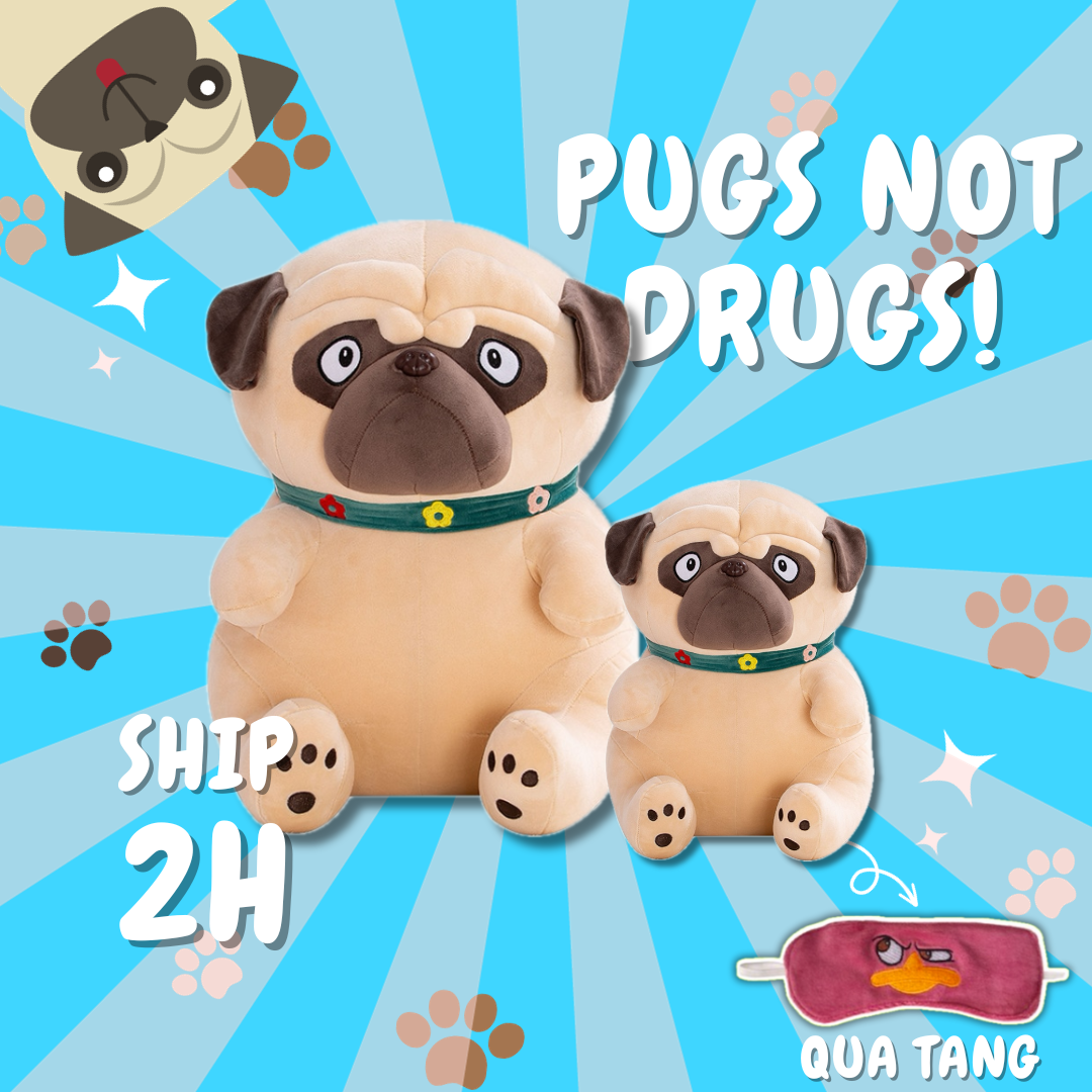 Chó Bông Mặt xệ Pug Gấu Bông City đủ size