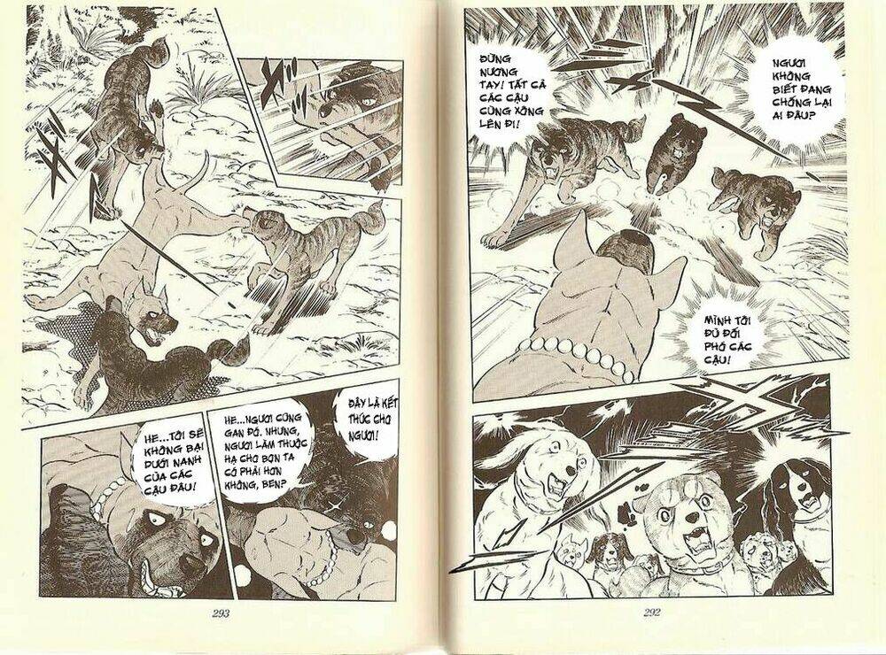 chú chó có nghĩa - ginga nagareboshi gin chapter 12 13