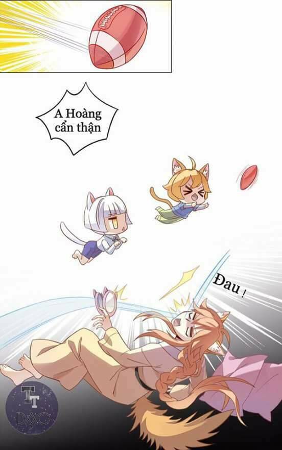 dưới móng vuốt mèo chapter 1 6