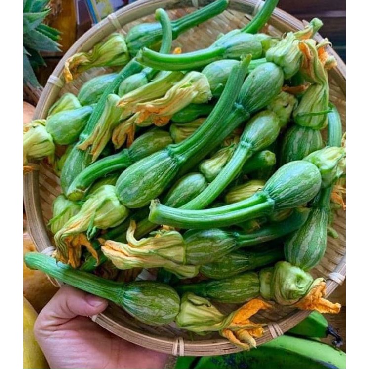 Hạt giống Bí nụ lai F1 GITA 33